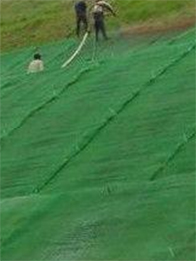 土工网垫护坡绿化