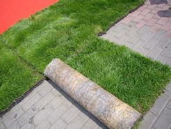泰嘉环保植生绿化毯